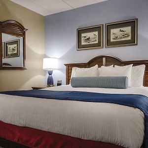 One-Bedroom Suite