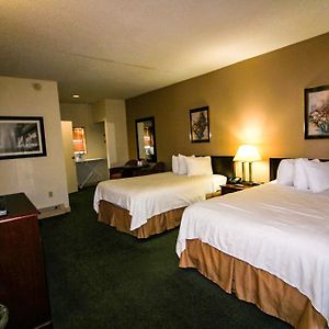 Double Room Two Double Beds