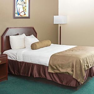 Standard Queen Room One Queen Bed Non-Smoking