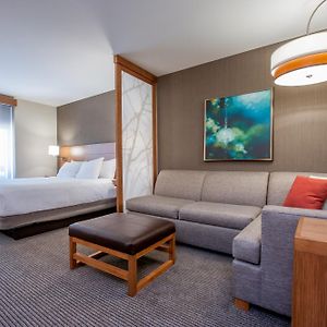One-Bedroom Suite Sofa Bed