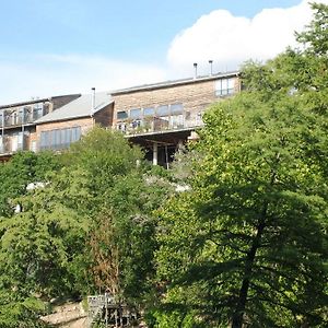 Gruene River Inn (Adults Only)