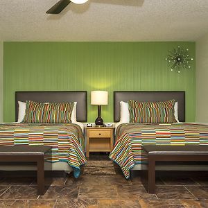 Executive Queen Room