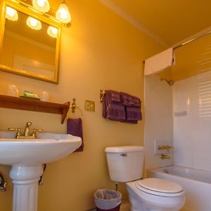 Deluxe Queen Room Not Pet Friendly