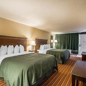 Queen Suite