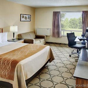 Comfort Inn East