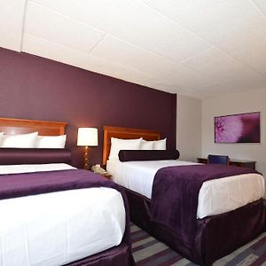 Standard Double Room Two Double Beds