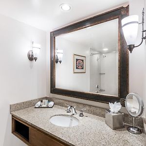 Standard King Room Roll Shower Handicap Access
