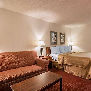 King Room Sleeper Sofa Non-smoking