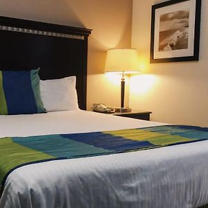 Standard Without Window Room