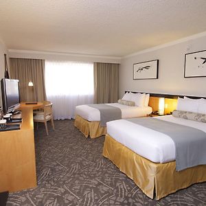 Executive Queen Room