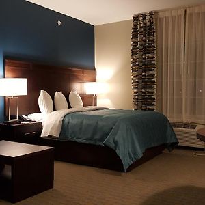 Queen Suite Sofa Bed