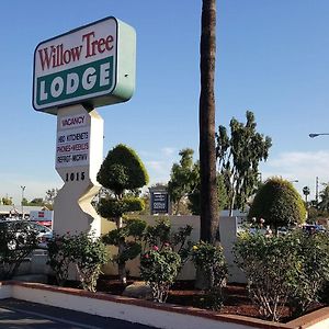 Willow Tree Lodge