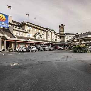 Comfort Inn & Suites Victoria