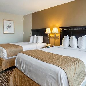 Double Room Two Double Beds Smoking