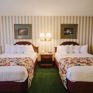 Standard Queen Room