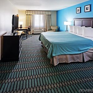 One-Bedroom King Suite