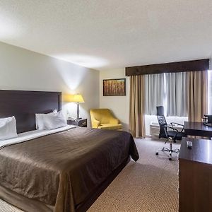 King Room Mobility accessible