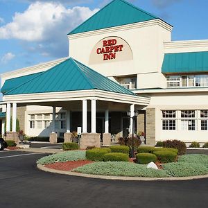 Red Carpet Inn Albany