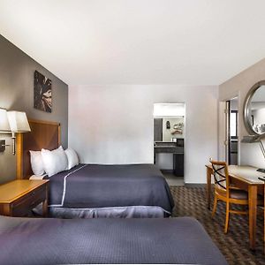 Superior Double Suite Three Double Beds Non-Smoking