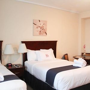 Superior Double or Twin Room City View