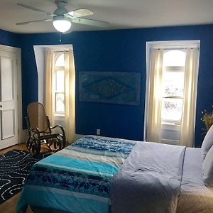 Comfy Guesthouse & Suite