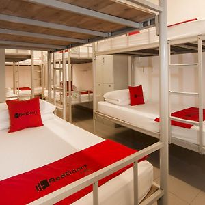 Dormitory Room Mixed