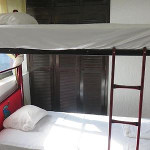 Family Twin Room