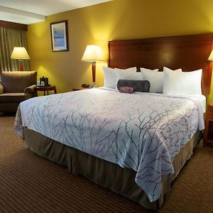 King Room Disability Access