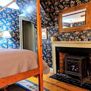 Queen Room Aster