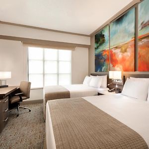 One Bedroom Queen Suite Two Queen Beds Sofa Bed