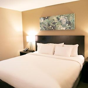 King Room Disability Access