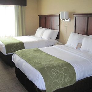 Queen Suite