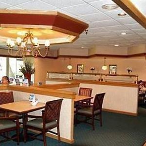 Quality Inn Market Center Dallas