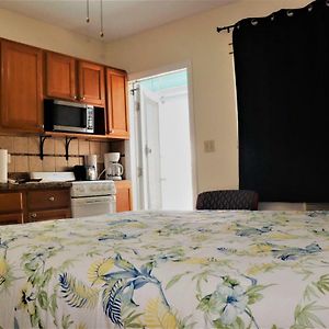 Deluxe Studio