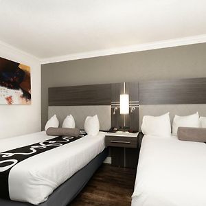 Quadruple Room Disability Access