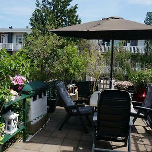 Amsterdam Roof Terrace B&B