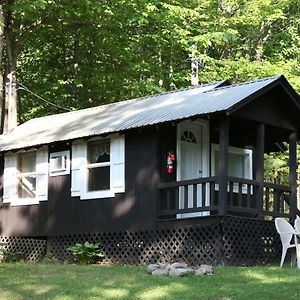 Lake George Bear'S Den