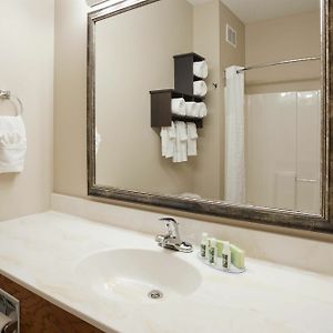 Studio Suite Two Queen Beds