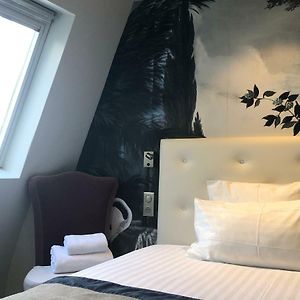 Mini  Single Room