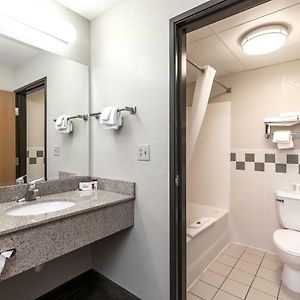King Room Pet Friendly