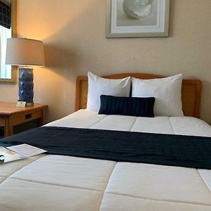 Standard King Room Pet Friendly