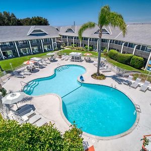 Queen Room Pool View