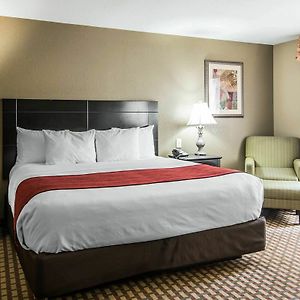 King Room Disability Access