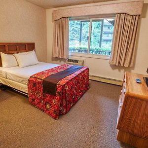 Queen Suite