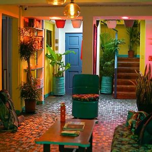Nativus Art-Hostel