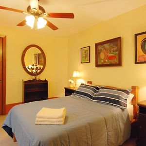 Olga Querida B&B Hostal