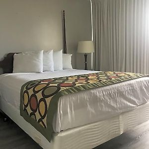 One-Bedroom King Suite