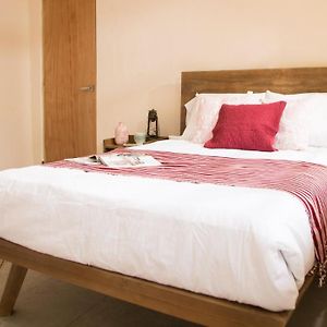 Cactus Hostel & Suites