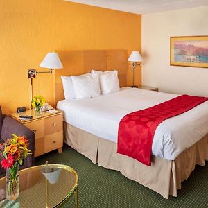 One-Bedroom King Suite Mobility accessible