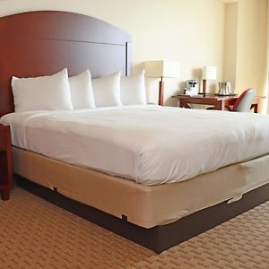 Executive Studio Suite